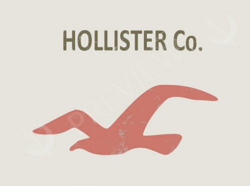 Hollister Co Logo