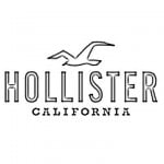 hollister logo bird