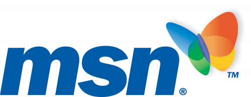large msn logo