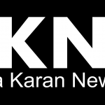 dkny logo 2012