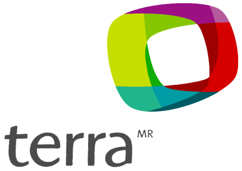 Terra Networks Logo