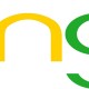 bing logo colour