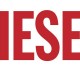 diesel logo