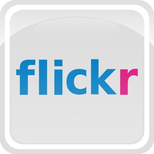 flickr logo button