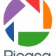 google picasa wallpaper