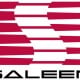 saleen logo