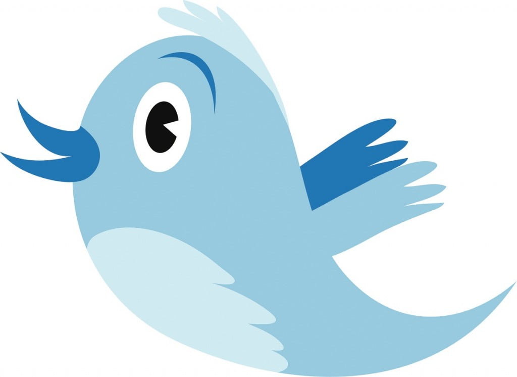 twitter logo bird