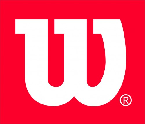 wilson logo icon