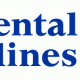 Continental Airlines Sky Team Logo
