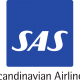 Scandinavian Airlines Logo Large