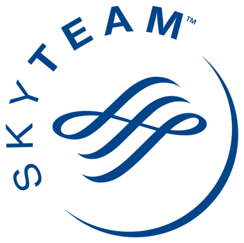 SkyTeam Logo