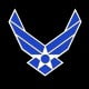 black us airf force logo