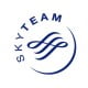 small skyteam logo