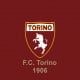 FC Torino Logo Wallpaper