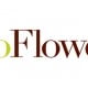 ProFlowers Logo