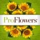 ProFlowers Logo Banner