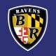 baltimore ravens shield logo