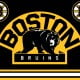 boston bruins bear logo