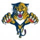 florida panthers logo