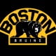 old boston bruins logo