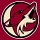 phoenix coyotes