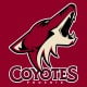 phoenix coyotes hockey logo