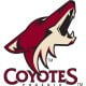 phoenix coyotes logo wallpaper