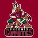 phoenix coyotes old logo