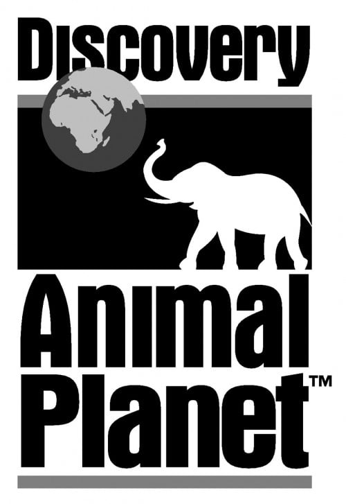 animal planet