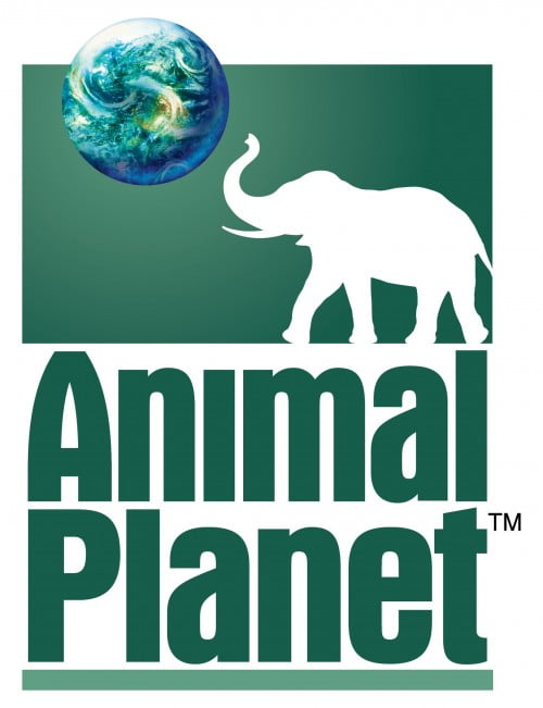 animal planet logo hd